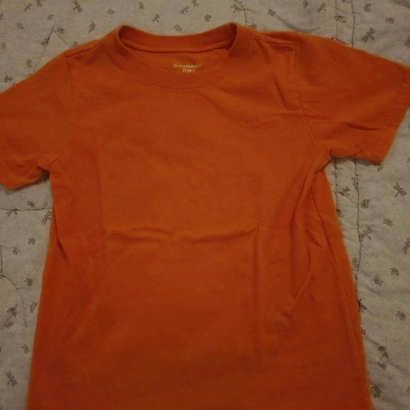 Garanimals Other - Garanimals 4t orange shirt